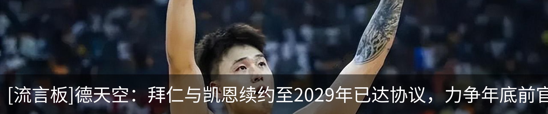 最新动态